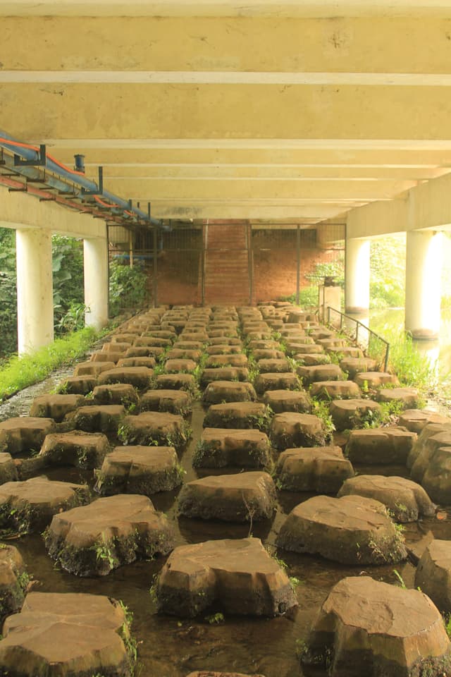 Rows of large rocks are arranged under a bridge, with greenery visible on the sides