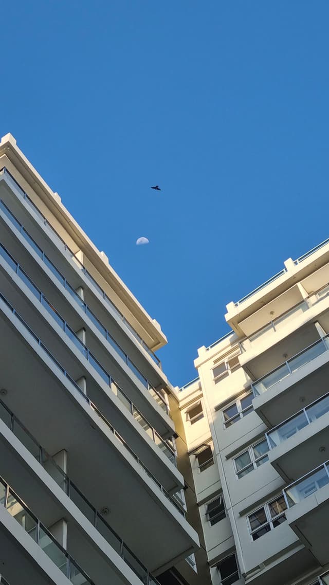 A view of tall buildings from below with a clear blue sky and a bird flying overhead